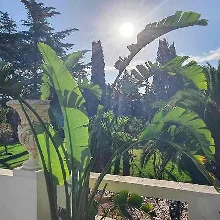 Lovely In Saint-raphael With Wifi Appartement Saint-Raphaël